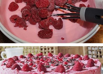 Super schnelle Himbeertorte