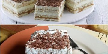 butterkeks-karamell-cremeschnitten