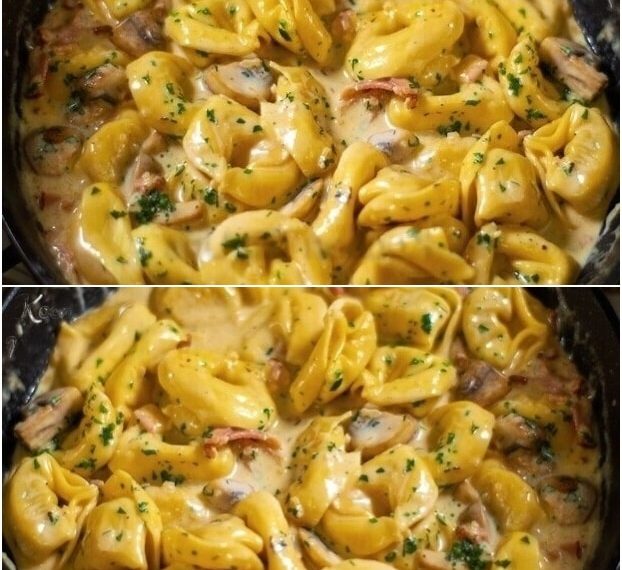 Fur mich das beste Tortellini Nudel Rezept dasss es gibt: in 10 Minuten zubereitet!
