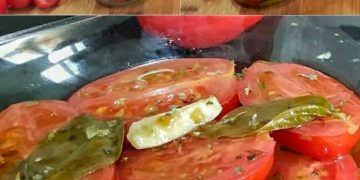 Tomaten in Öl: das Rezept für eine schnelle und immer fertige Beilage