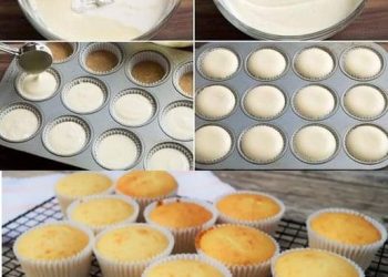 Käsekuchen Muffins gefüllt mit Vanillepudding