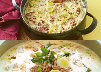 Käse-Lauch-Suppe mit Hackfleisch