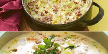 Käse-Lauch-Suppe mit Hackfleisch