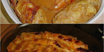 geschmorte Kohlrouladen