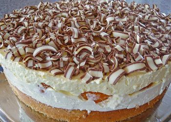 Meine Familie ist verrückt nach dieser Torte: Rittersporttorte einfach der Oberhammer!
