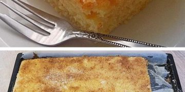 Omas saftiger Blitz Buttermilch Kokos Kuchen, MEGA LECKER! 