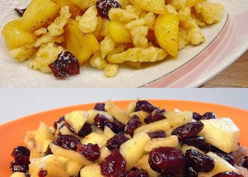 Schnell und einfach gemacht ist ein sommerliches Apfel-Dessert Apfelspätzle mit Cranberries 