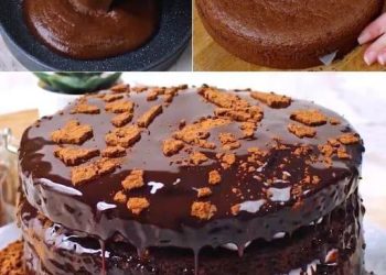 TSUNAMI-SCHOKOLADENKUCHEN