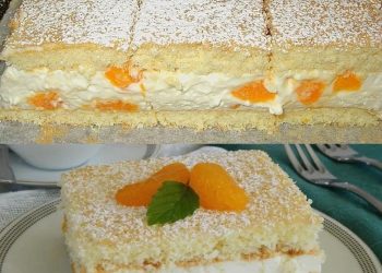  Mandarinen – Quark – Schnitten