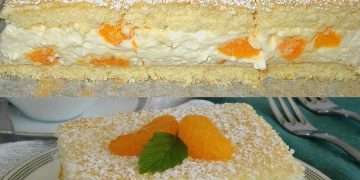  Mandarinen – Quark – Schnitten