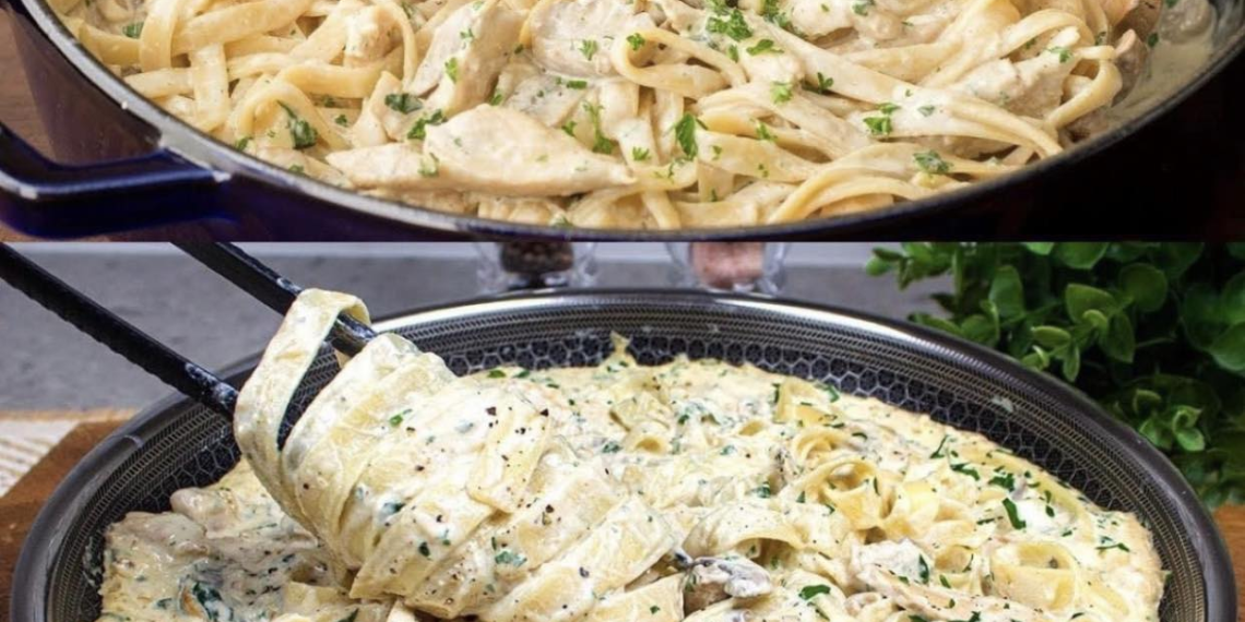 Pasta Alfredo – Nudeln mit Hähnchenbrust in Käsesoße