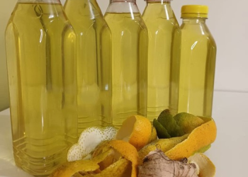 Zitronen-Ingwer: das beste Getränk, um Bauchfett zu verbrennen