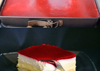 himbeer-puddingcreme-schnitten-kuchen-ohne-backen