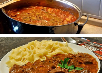 Burgunder Fleischtopf