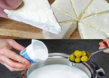 1 Liter Milch, 1 Joghurt und eine halbe Zitrone reichen aus, um den besten hausgemachten Käse zuzubereiten
