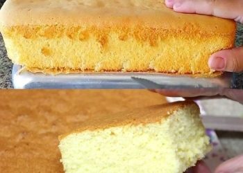 blitz-biskuit-einfach-gelingt-immer