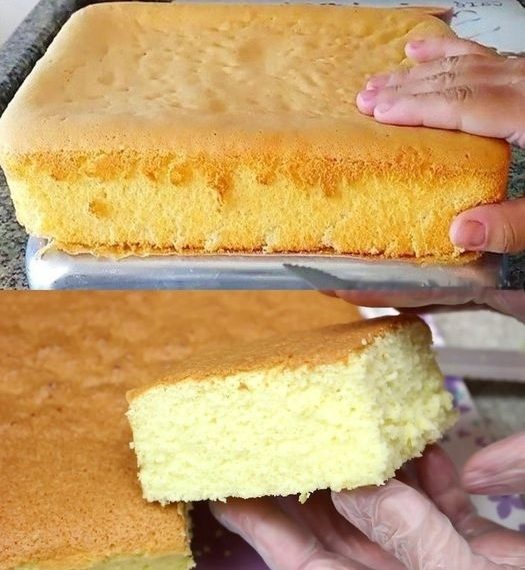 blitz-biskuit-einfach-gelingt-immer