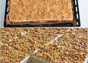 frankfurter-kranz-schnitten