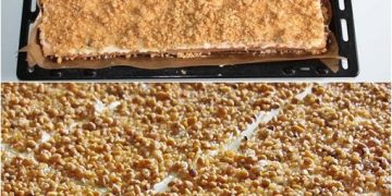 frankfurter-kranz-schnitten