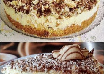 Blitztorte: Mandarinen im Paradies, jeder wird es lieben!