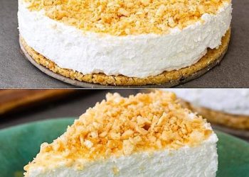 Entdecken Sie das ultimative Käsekuchen-Erlebnis – unser preisgekröntes Rezept für den besten Käsekuchen der Welt