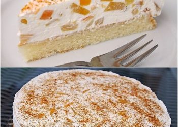 Pfirsich – Schmand – Kuchen – Einfach Nur Lecker