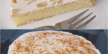 Pfirsich – Schmand – Kuchen – Einfach Nur Lecker
