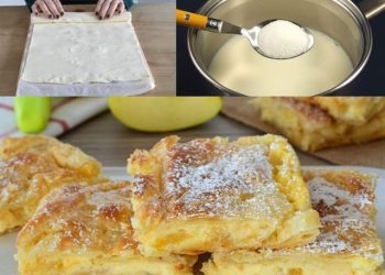 Apfelpudding Schnitten die wirklich immer gelingen