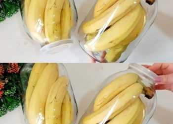 Keine faulen und schwarzen Bananen mehr nach ein paar Tagen: Mit dieser Methode halten sie 2 Jahre