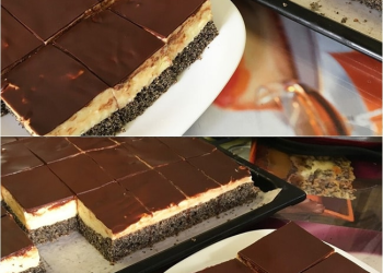 Leckerer Mohnkuchen mit Puddingcreme und Schokoladenglasur