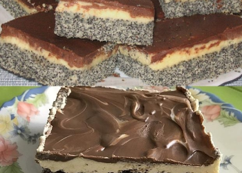 Mohnkuchen mit Vanillecreme und Schoko (leckerer Blechkuchen, schmeckt lecker, gelingt immer)