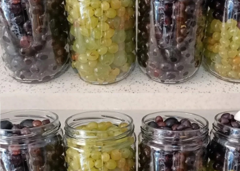 Trauben isst man das ganze Jahr | Der Prozess, den nicht jeder kennt | Es ist sehr gut!