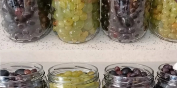 Trauben isst man das ganze Jahr | Der Prozess, den nicht jeder kennt | Es ist sehr gut!