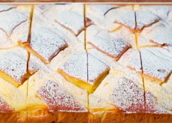Flauschiger Ricotta-Kuchen: das einfache, schnelle und cremige Dessert zum Probieren