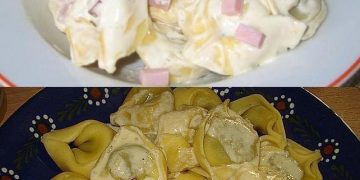 Tortellini mit Käse Sahne Soße – Wirklich ein Traum! 